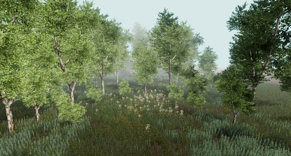 3D trees birch forests unity model