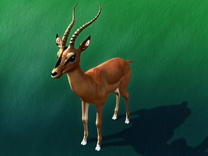 Impala_maya