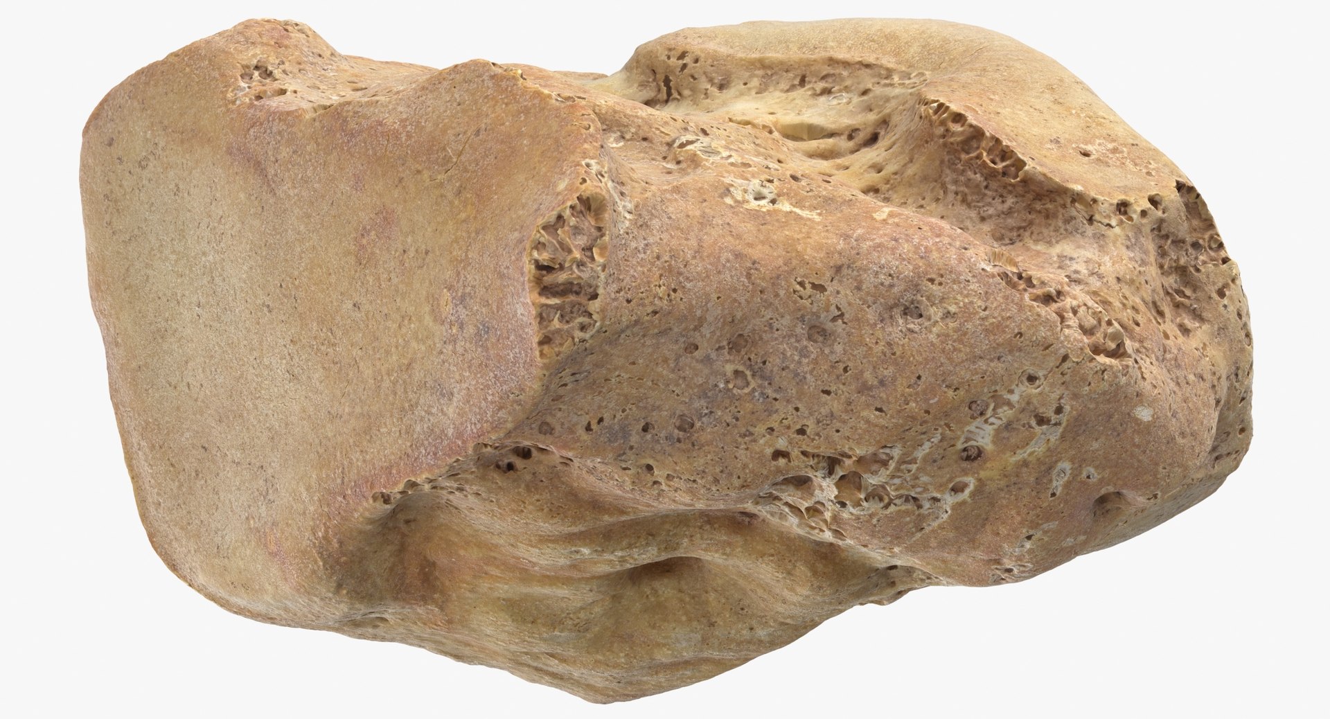 Cuneiform Bone Intermediate 01 3D Model - TurboSquid 1505117