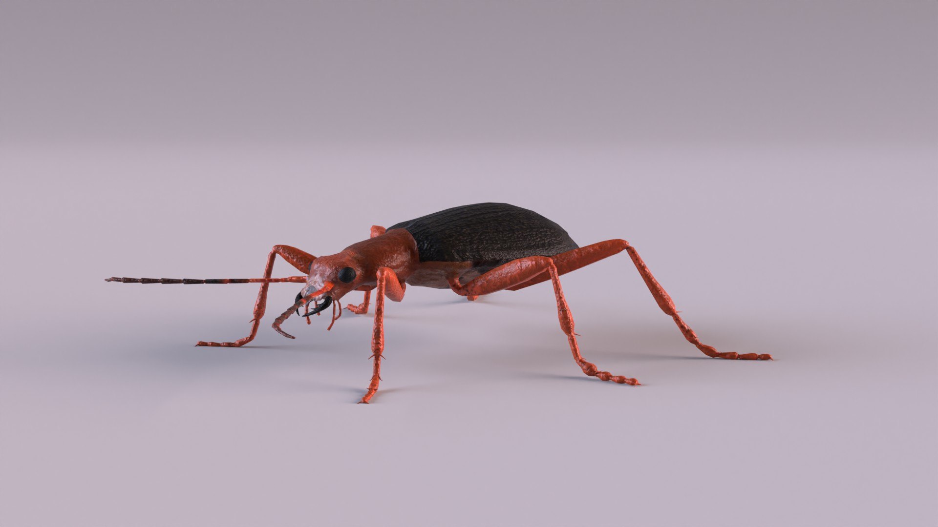 Insects Printable 3D Model - TurboSquid 2415692