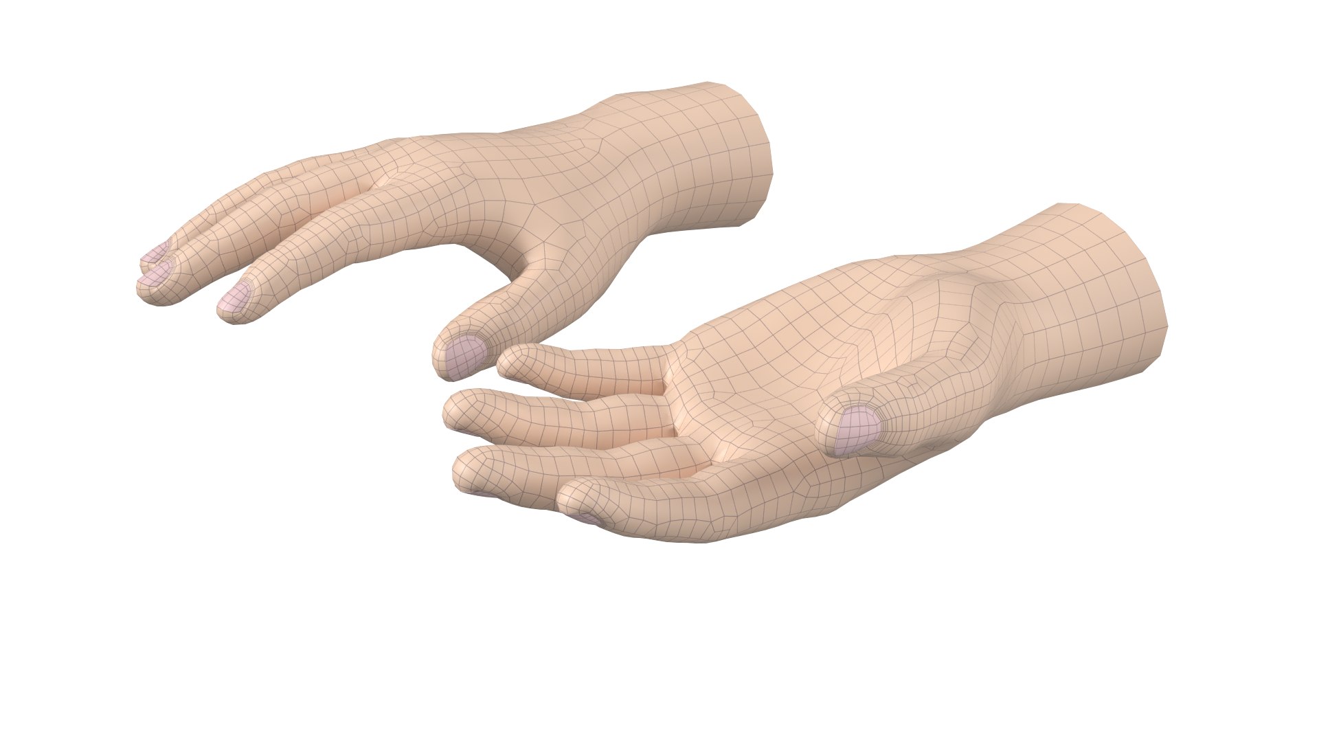 Male Hand Base Mesh 02 Model - TurboSquid 2189857