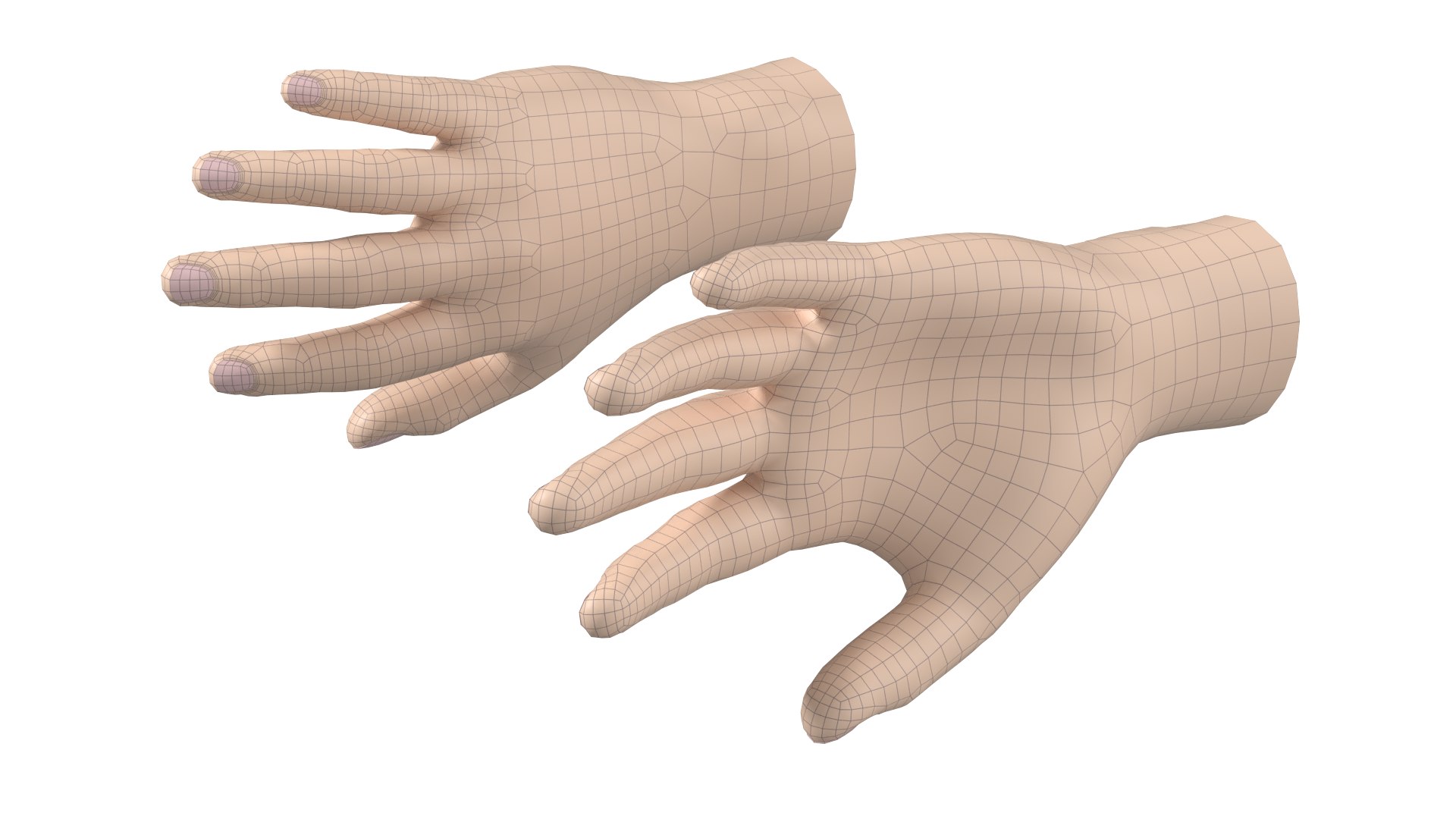 Male Hand Base Mesh 02 Model - TurboSquid 2189857