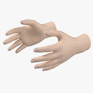 Male Hand Base Mesh 02