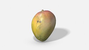 3D fruit mango - photoscanned