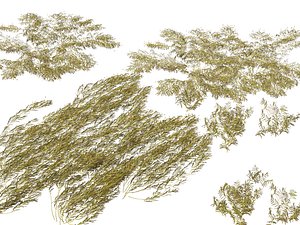 3D HighpolyLow Poly Potamogeton ochreatus - blunt pondweed model