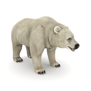 3D white bear model