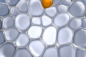 Skin Cells
