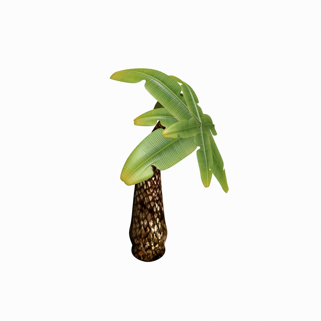 cartoon palm tree 3d ma https://p.turbosquid.com/ts-thumb/13/0kweZ4/CmRqMvP5/palm_camera001_thumbnail_1/jpg/1455217808/1920x1080/turn_fit_q99/1fcefd855d3b0ed228c6e2714abc605f640b77e7/palm_camera001_thumbnail_1-1.jpg