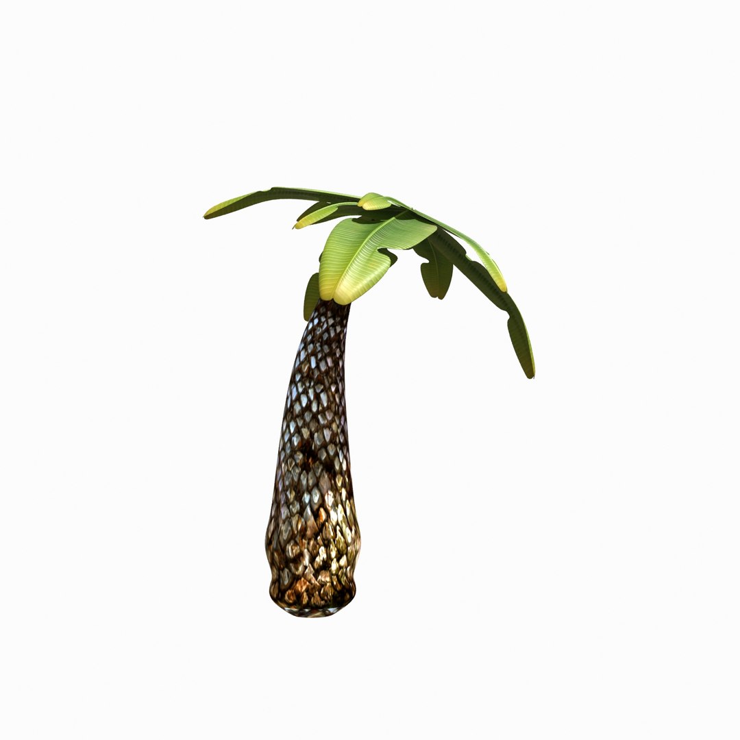 cartoon palm tree 3d ma https://p.turbosquid.com/ts-thumb/13/0kweZ4/OYwyvXVz/palm_camera003_thumbnail_3/jpg/1455217506/1920x1080/fit_q87/af0b2d2caf896626158705f40ad16f7e43a171f4/palm_camera003_thumbnail_3.jpg
