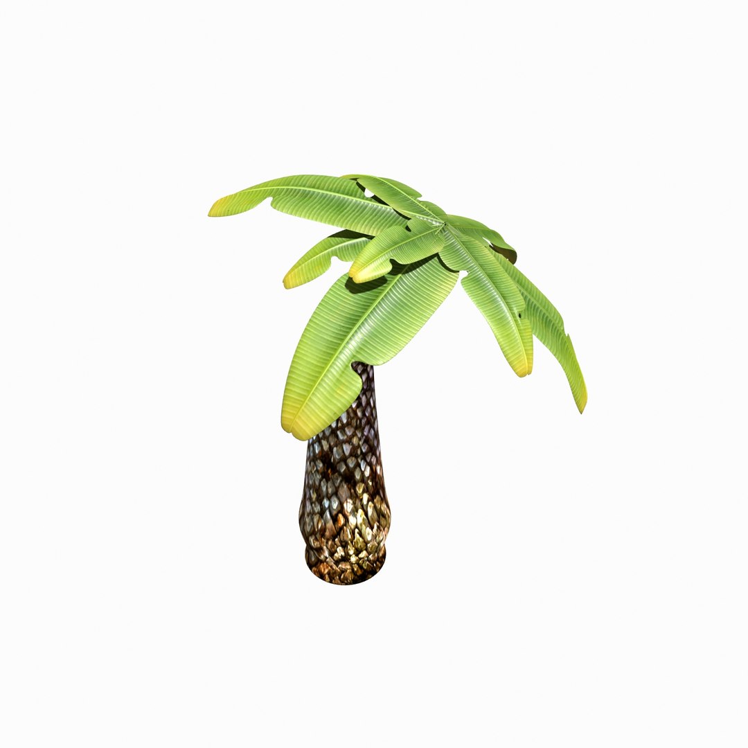 cartoon palm tree 3d ma https://p.turbosquid.com/ts-thumb/13/0kweZ4/eXxIWV3N/palm_camera004_thumbnail_4/jpg/1455217506/1920x1080/fit_q87/246280de2270dc6243d89e64cd4717d71617acf3/palm_camera004_thumbnail_4.jpg