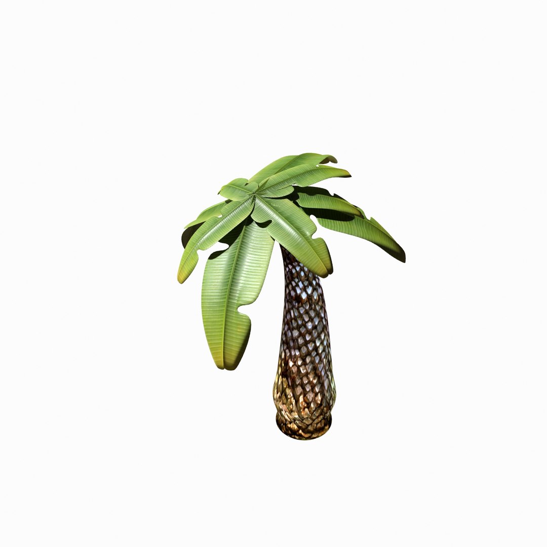 cartoon palm tree 3d ma https://p.turbosquid.com/ts-thumb/13/0kweZ4/oFoMFx2A/palm_camera002_thumbnail_2/jpg/1455217506/1920x1080/fit_q87/4be96437be5425ca79cd2585a6ac3f4aa5732935/palm_camera002_thumbnail_2.jpg