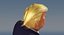 Donald Trump Cartoon Caricature