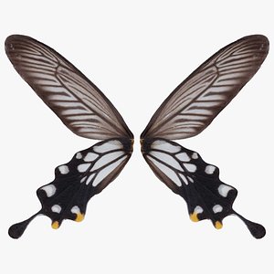 3D Common Mime Papilio Polytes Remastered