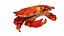 Underwater Animals Big Collection 34 in 1
