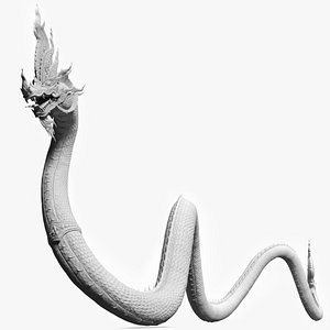 Naga Dragon White Crawling