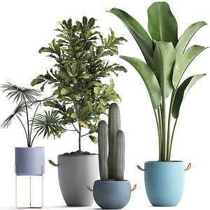 3D exotic plants model