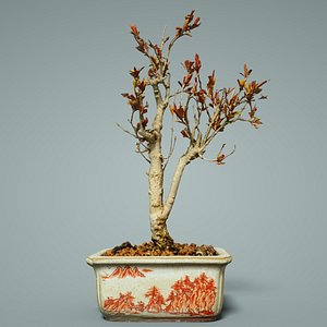3D bonsai tree