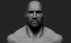 3D dawyn johnson model
