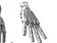 Anatomia della mano robotica