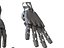 Anatomia della mano robotica