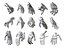 Anatomia della mano robotica