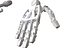 Anatomia della mano robotica