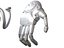 Anatomia della mano robotica