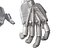 Anatomia della mano robotica