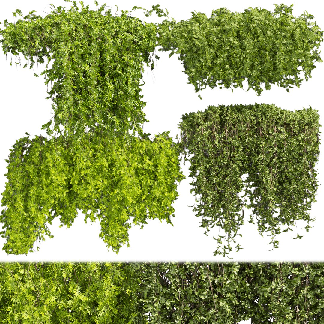 Collection Plant Vol 387 - Bush - Ivy - Outdoor - Fitowall - Blender ...