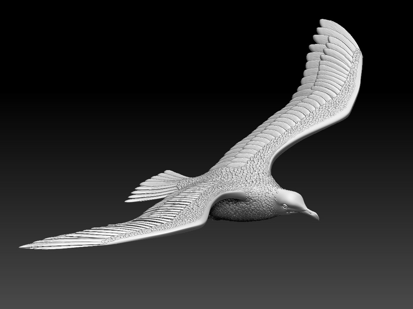 3D seagull sea gull - TurboSquid 1653575