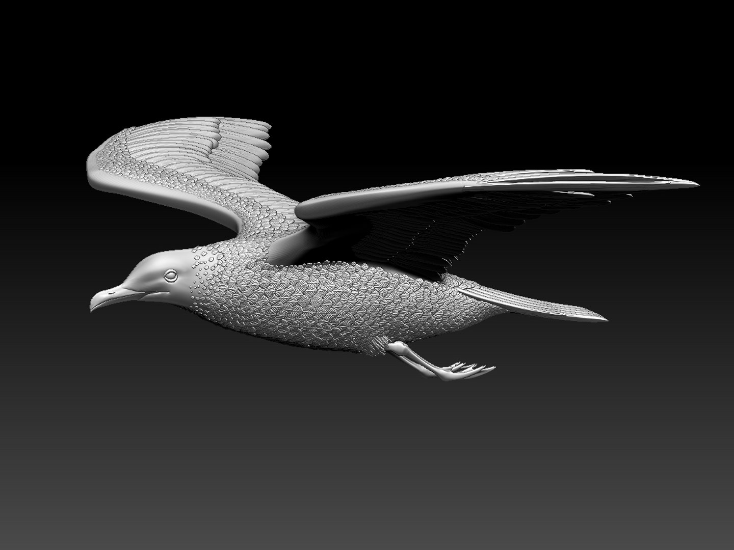 3D seagull sea gull - TurboSquid 1653575