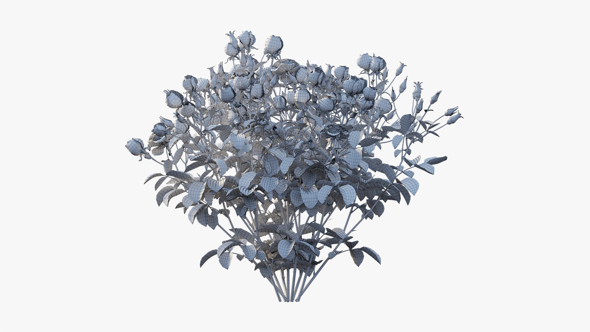3D plant rose set 02 https://p.turbosquid.com/ts-thumb/14/dvTRfw/7uu7JLhj/11/jpg/1603561648/1920x1080/fit_q87/276ccb77b2bf0ed543d427e3db0c6f36e1ac3ff9/11.jpg