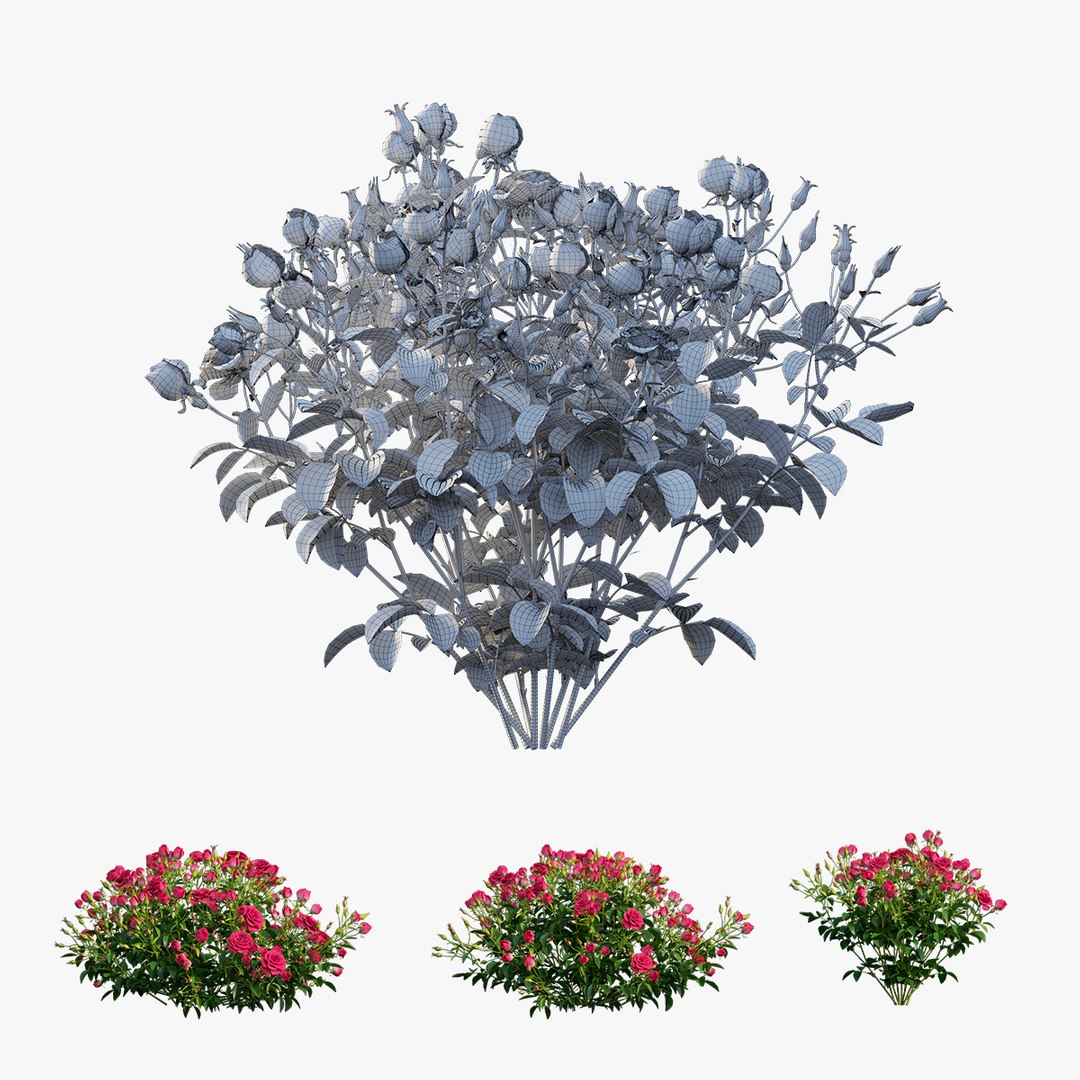 3D plant rose set 02 https://p.turbosquid.com/ts-thumb/14/dvTRfw/xjRXYiCD/3/jpg/1603561649/1920x1080/fit_q87/2f7887a6b4f776ded0c1a74b57303c9790b21dfe/3.jpg