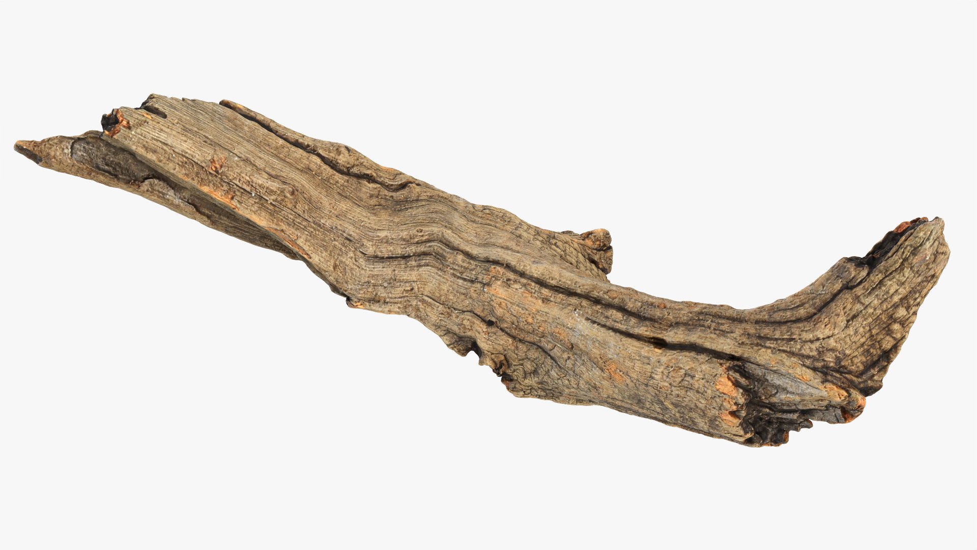 Tree Trunk Piece 02 3D https://p.turbosquid.com/ts-thumb/14/frzOpQ/88/treetrunkpc02_0003/png/1760086370/1920x1080/fit_q87/22121ae537aedc0ad793ee8edd71730485a7453f/treetrunkpc02_0003.jpg