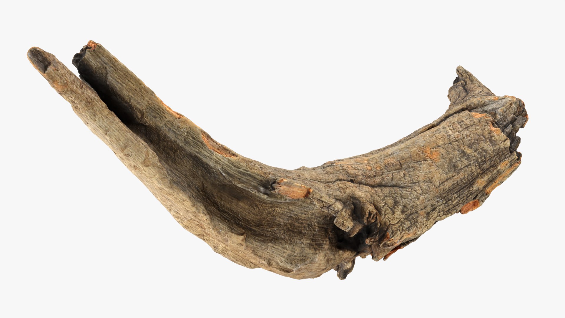 Tree Trunk Piece 02 3D https://p.turbosquid.com/ts-thumb/14/frzOpQ/Bj/treetrunkpc02_0009/png/1760086388/1920x1080/fit_q87/6f2f081f60ff821bda90f6dfdaadc44d9d6e0852/treetrunkpc02_0009.jpg