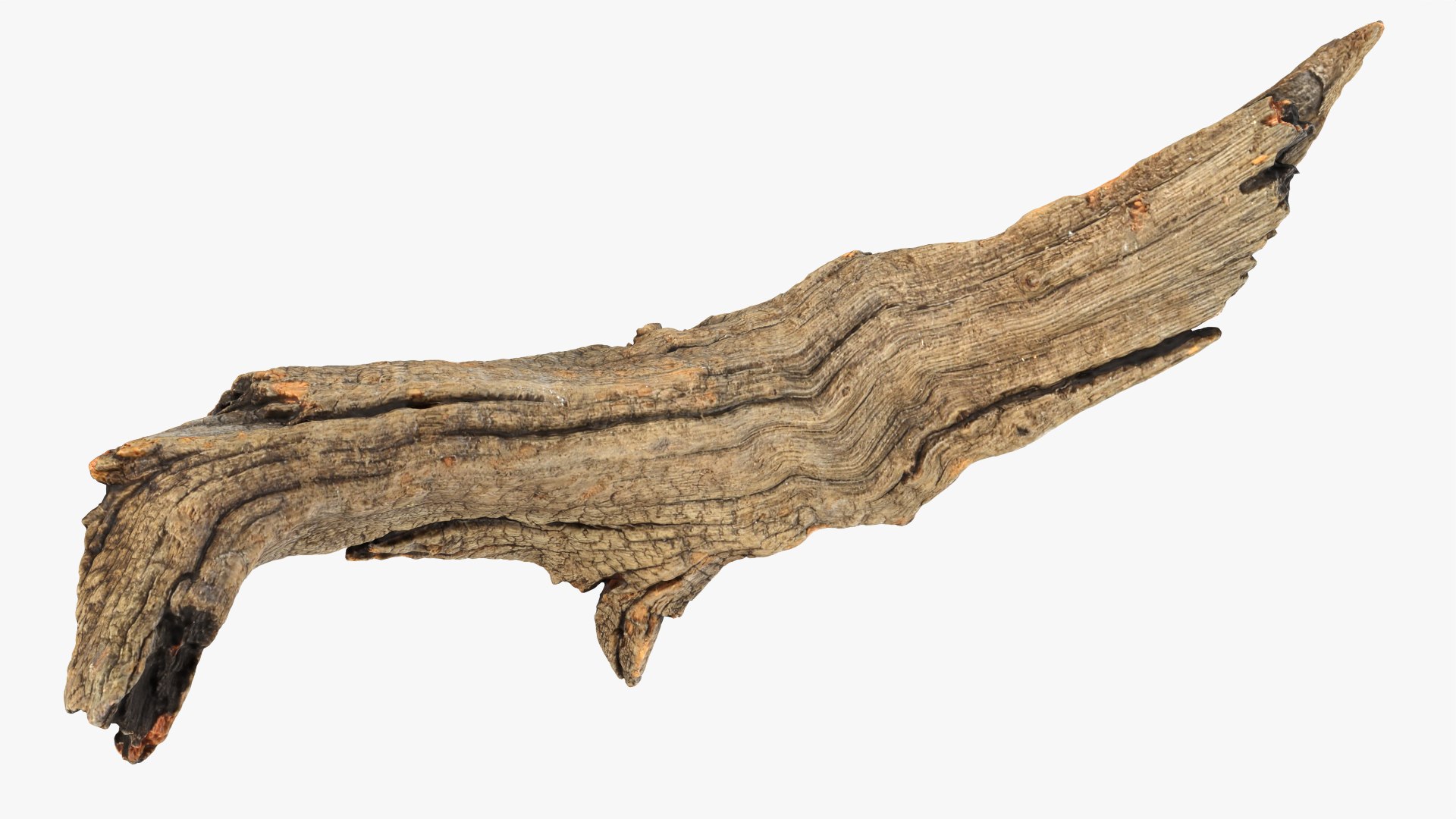 Tree Trunk Piece 02 3D https://p.turbosquid.com/ts-thumb/14/frzOpQ/JR/treetrunkpc02_0010/png/1760086387/1920x1080/fit_q87/e2e22e2b7fe748133d13cdd794d12a58f42a4dbf/treetrunkpc02_0010.jpg