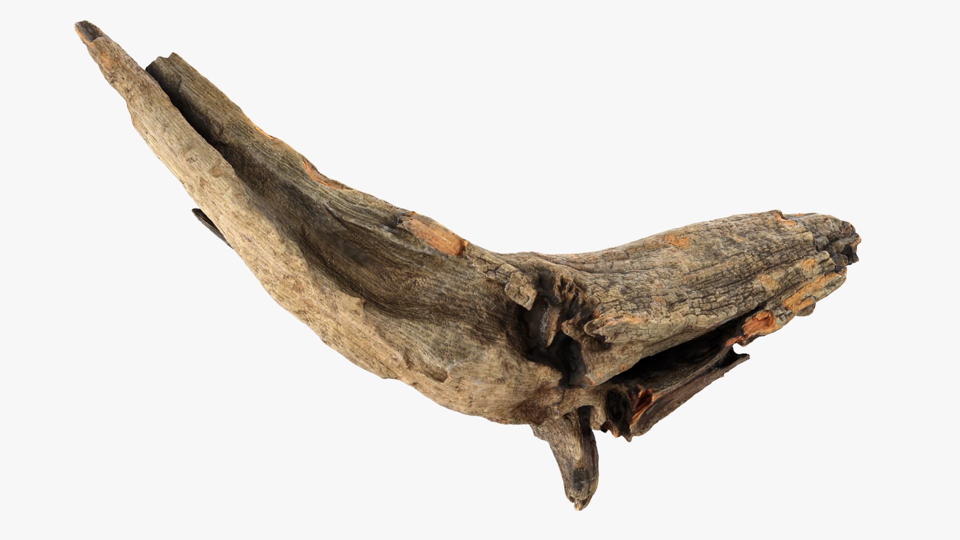 3D Tree Trunk Piece Collection model https://p.turbosquid.com/ts-thumb/14/frzOpQ/P3/treetrunkpc02_0001/png/1766384757/1920x1080/fit_q87/5a330e3171188cee9e861fc9ae3e97983d243e09/treetrunkpc02_0001.jpg