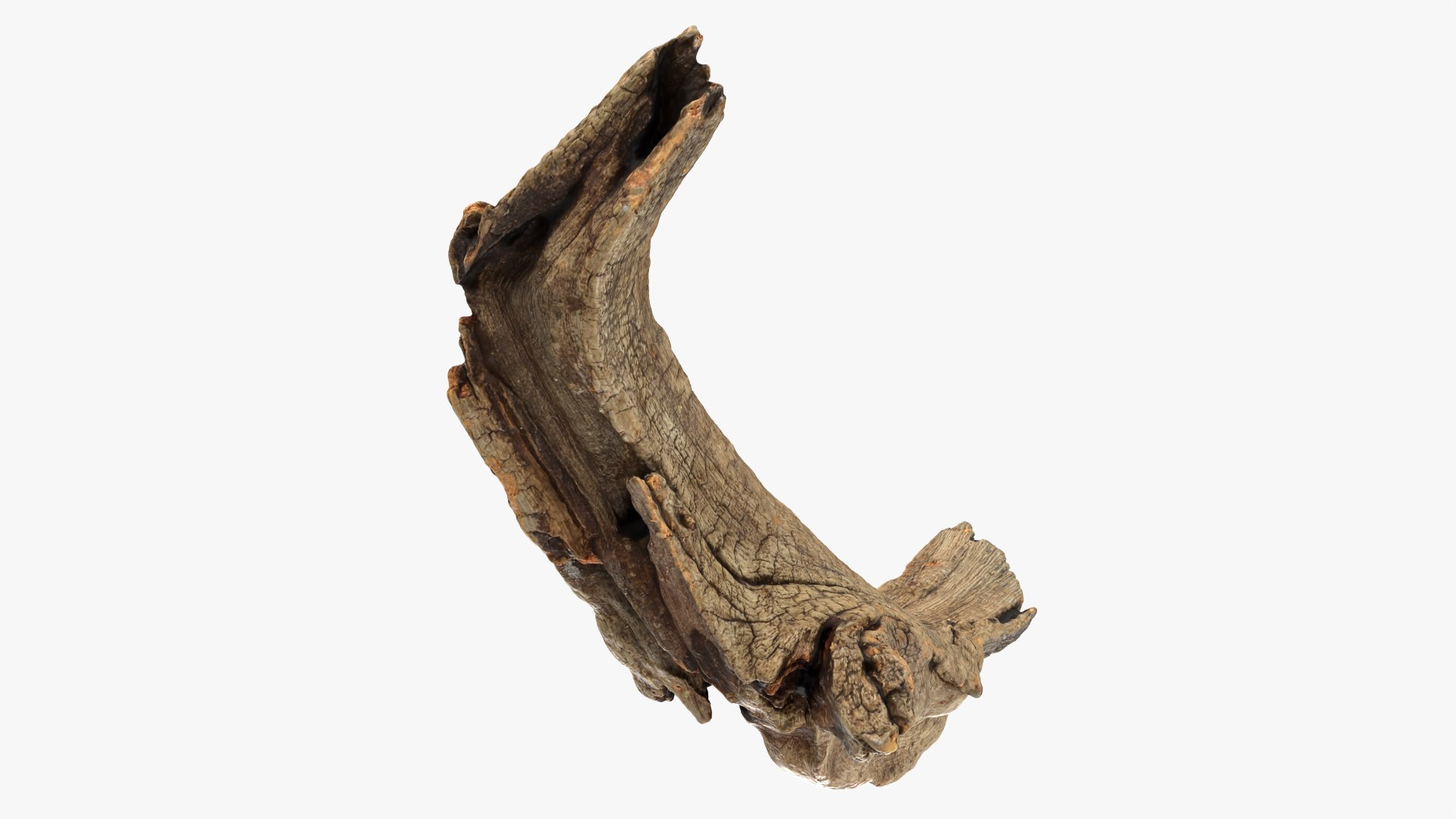 Tree Trunk Piece 02 3D https://p.turbosquid.com/ts-thumb/14/frzOpQ/VE/treetrunkpc02_0008/png/1760086381/1920x1080/fit_q87/e3a49aaa88a4a9440b51f8753896762859e54630/treetrunkpc02_0008.jpg