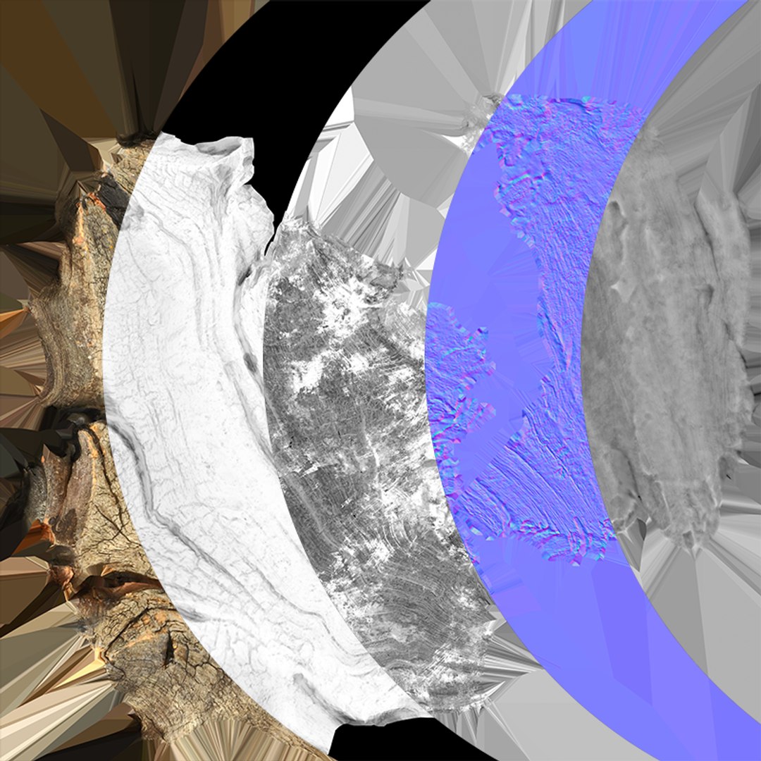 Tree Trunk Piece 02 3D https://p.turbosquid.com/ts-thumb/14/frzOpQ/Vn/treetrunkpc02_c0005/png/1760086390/1920x1080/fit_q87/30cfc8131432b6ff02a24fd93a401cd4ea830612/treetrunkpc02_c0005.jpg
