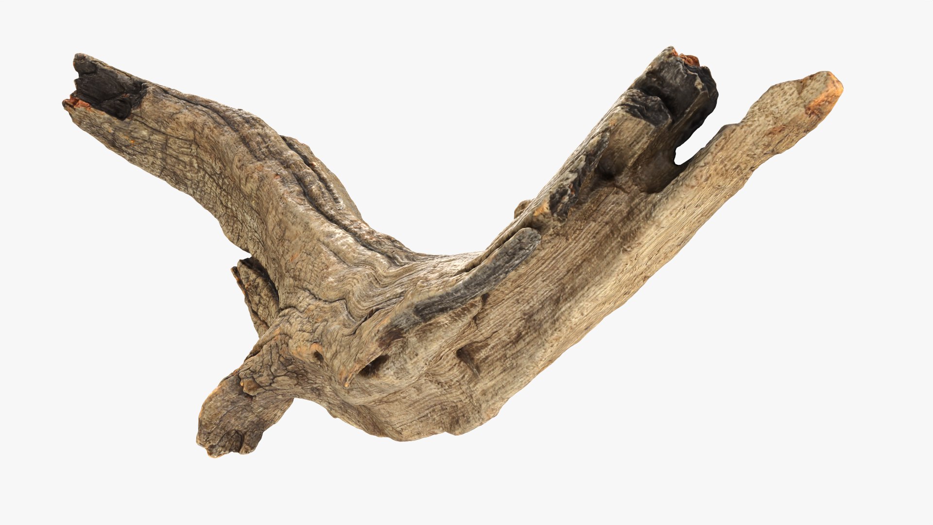 Tree Trunk Piece 02 3D https://p.turbosquid.com/ts-thumb/14/frzOpQ/Xg/treetrunkpc02_0005/png/1760086378/1920x1080/fit_q87/feb9ec4c503a7da79c6c05a40b5716715a7d9bf0/treetrunkpc02_0005.jpg