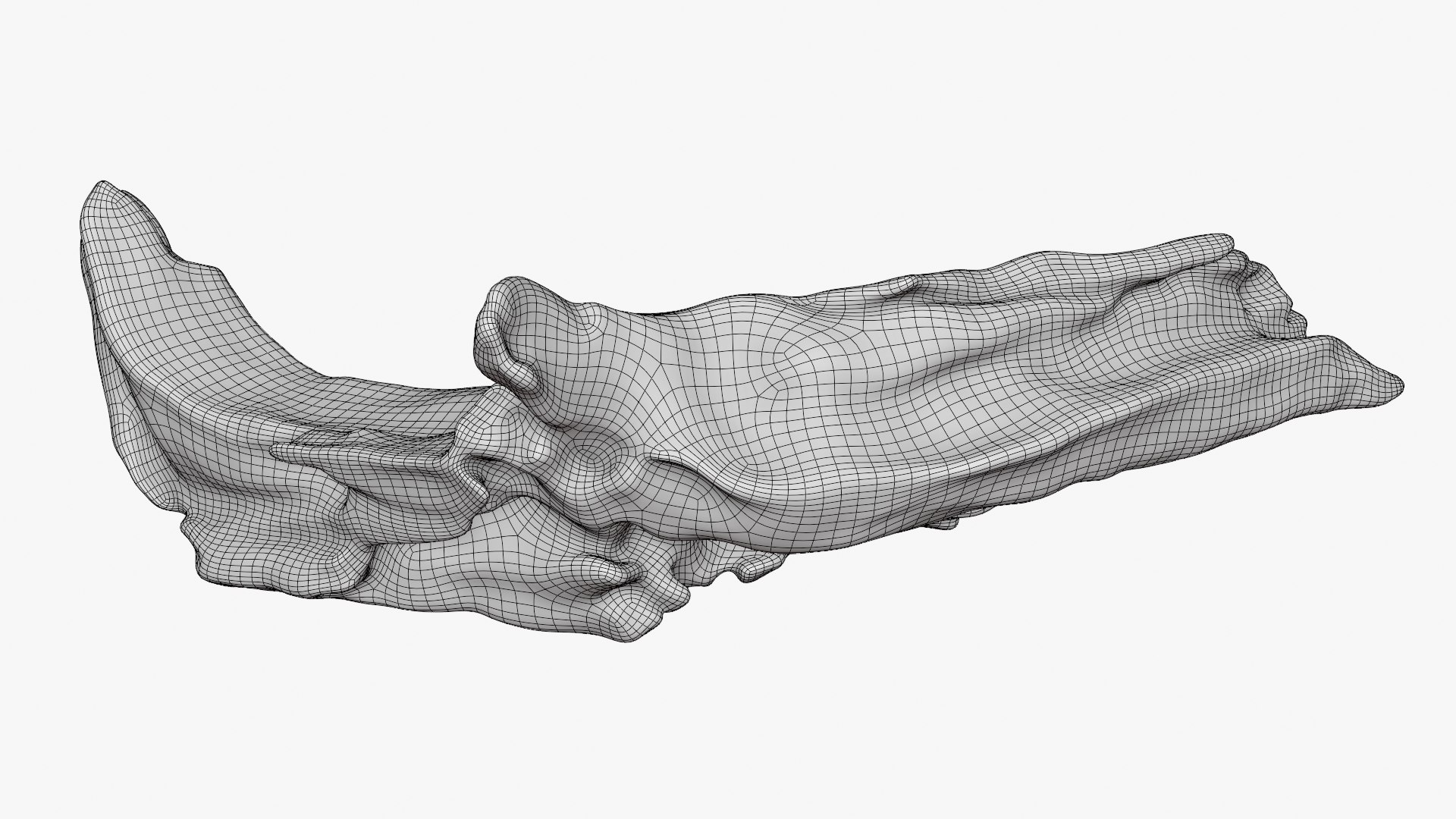Tree Trunk Piece 02 3D https://p.turbosquid.com/ts-thumb/14/frzOpQ/Y5/treetrunkpc02_d0004/png/1760086394/1920x1080/fit_q87/6487657e43a01b8fa0c898cddbffa890865ddb7d/treetrunkpc02_d0004.jpg