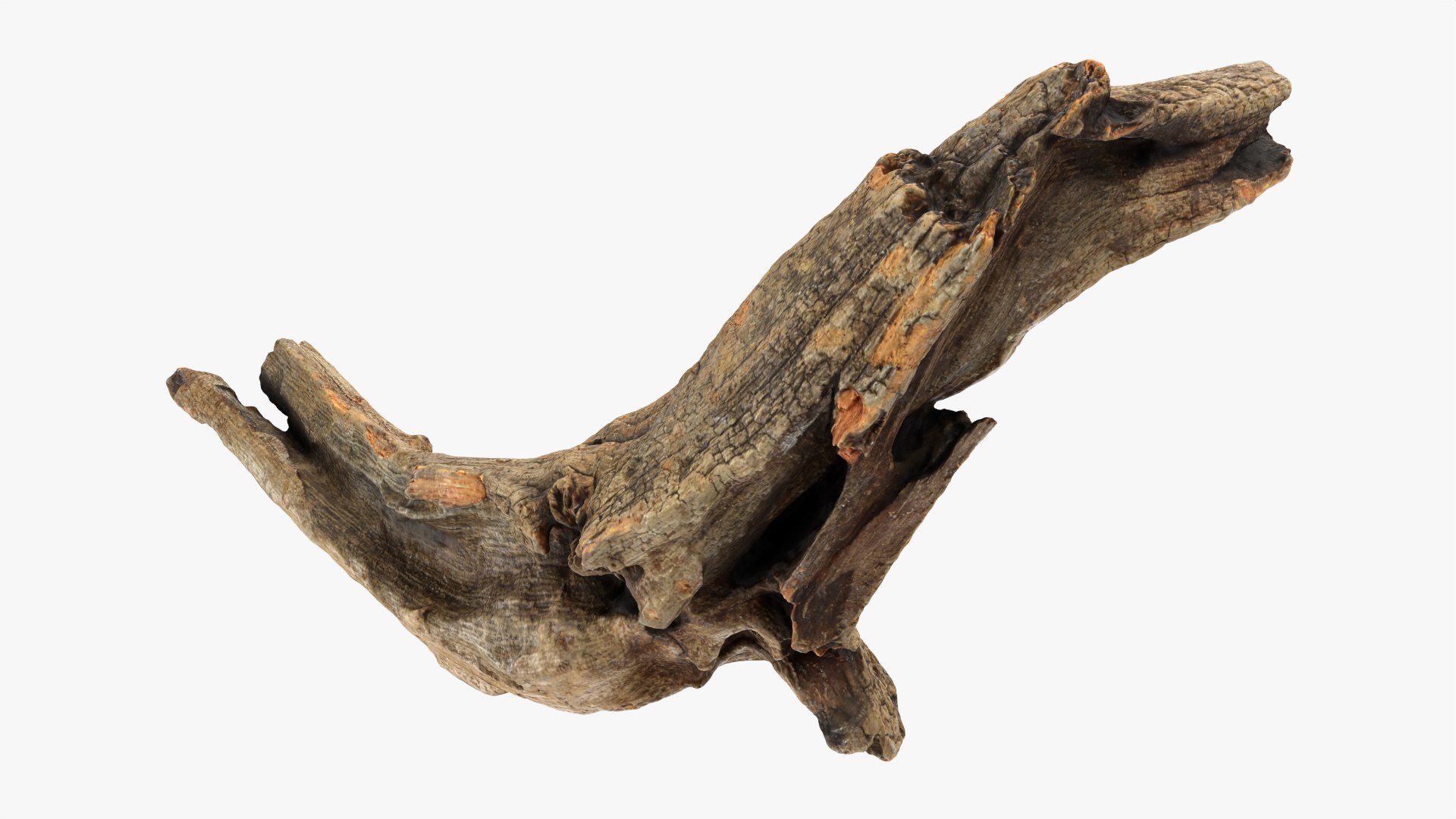 Tree Trunk Piece 02 3D https://p.turbosquid.com/ts-thumb/14/frzOpQ/YQ/treetrunkpc02_0002/png/1760086360/1920x1080/fit_q87/08c941d3b7a35699917f2664e4ea12df2cf47bf7/treetrunkpc02_0002.jpg