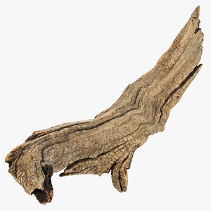 Tree Trunk Piece 02 3D