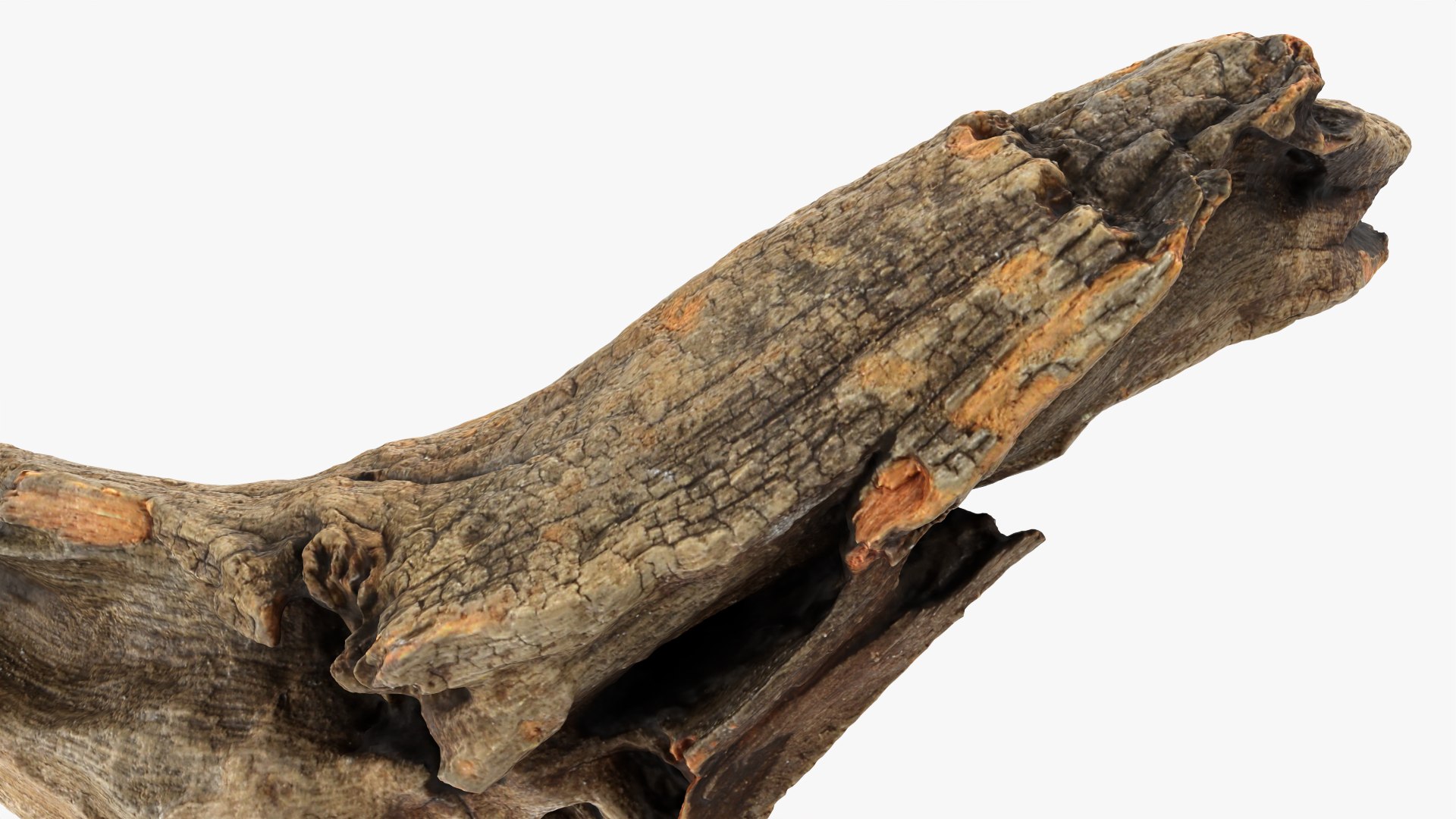 Tree Trunk Piece 02 3D https://p.turbosquid.com/ts-thumb/14/frzOpQ/nU/treetrunkpc02_0012/png/1760086393/1920x1080/fit_q87/bf3742f0da44d00c5798a38a70e82840748b1421/treetrunkpc02_0012.jpg