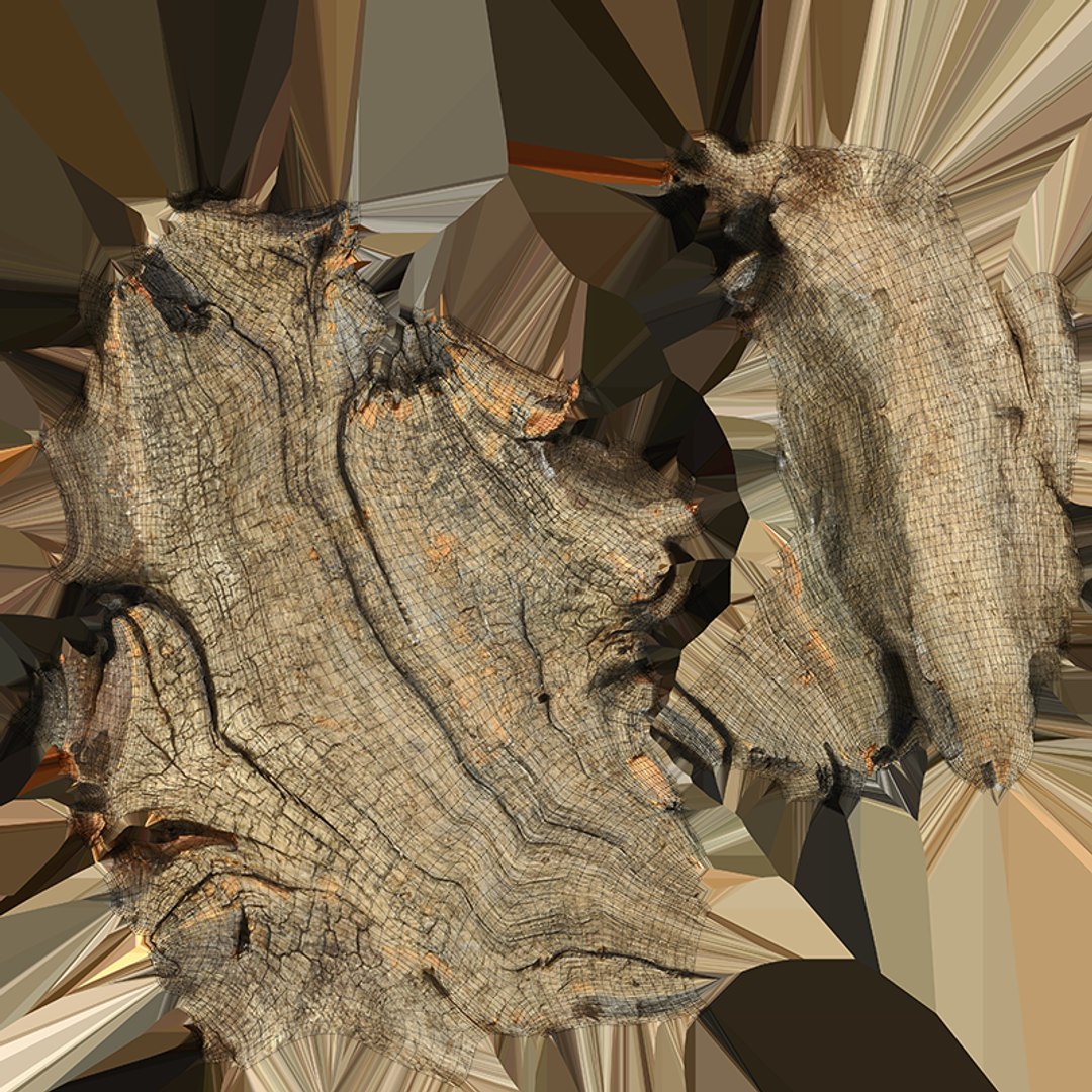 Tree Trunk Piece 02 3D https://p.turbosquid.com/ts-thumb/14/frzOpQ/xE/treetrunkpc02_c0004/png/1760086389/1920x1080/fit_q87/17881c03c9afe14adf7c79d8e7f536eb2a265405/treetrunkpc02_c0004.jpg