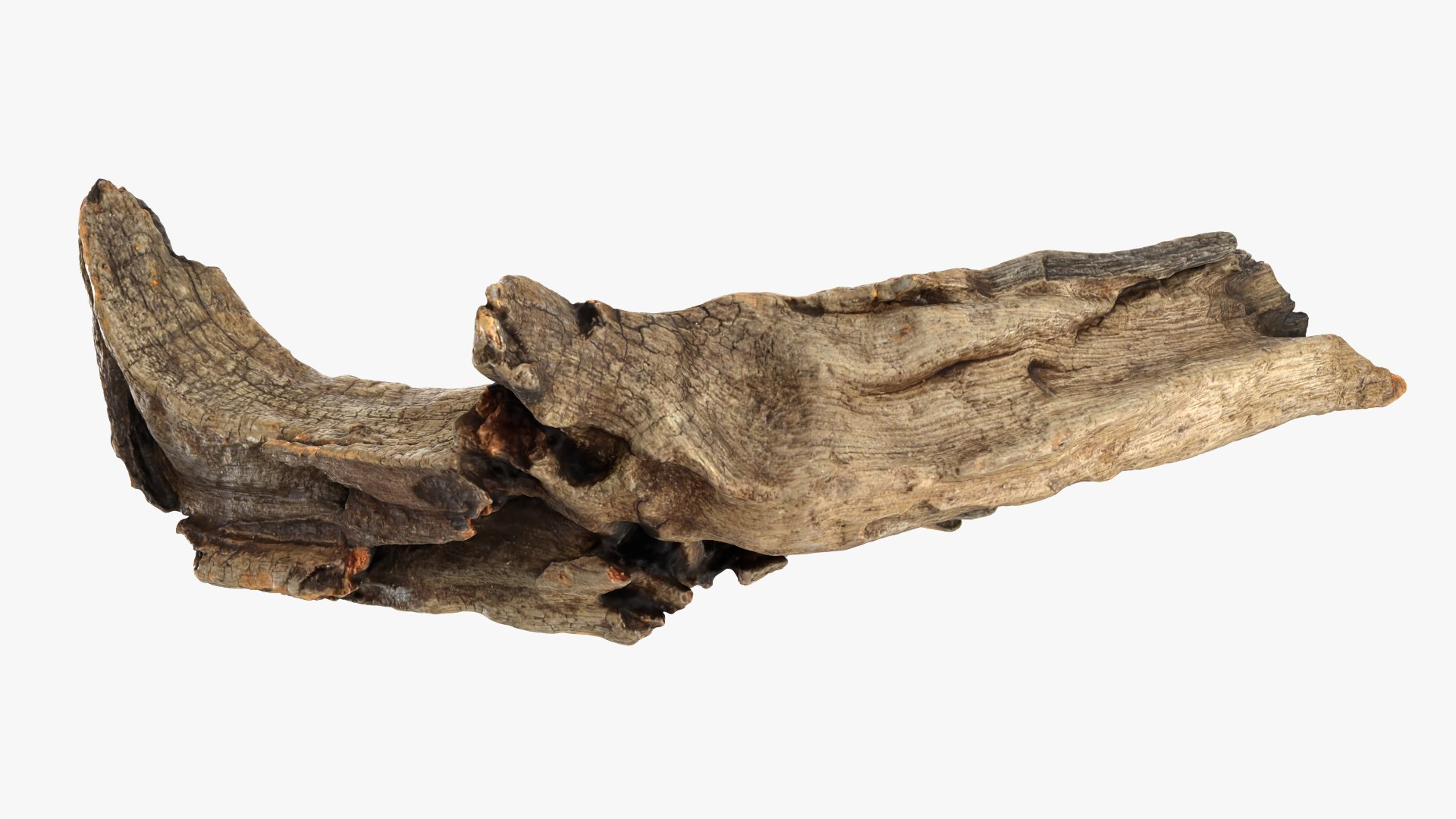 Tree Trunk Piece 02 3D https://p.turbosquid.com/ts-thumb/14/frzOpQ/xn/treetrunkpc02_0004/png/1760086377/1920x1080/fit_q87/e3e0b2d81c67623566e1e0553405357bad68aab6/treetrunkpc02_0004.jpg