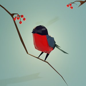 bird
