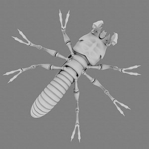 3d termite