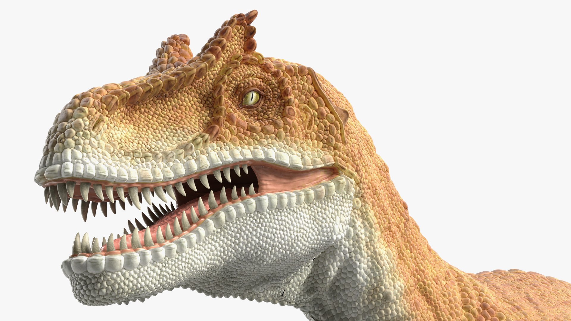 Allosaurus Yellow Coloring Rigged for Cinema 4D 3D https://p.turbosquid.com/ts-thumb/14/vKYXlo/8h/allosaurusyellowcoloringriggedforcinema4dc4dmodel021/jpg/1703237481/1920x1080/fit_q87/284235c9c650b27c865982384558ab70fe7ac457/allosaurusyellowcoloringriggedforcinema4dc4dmodel021.jpg