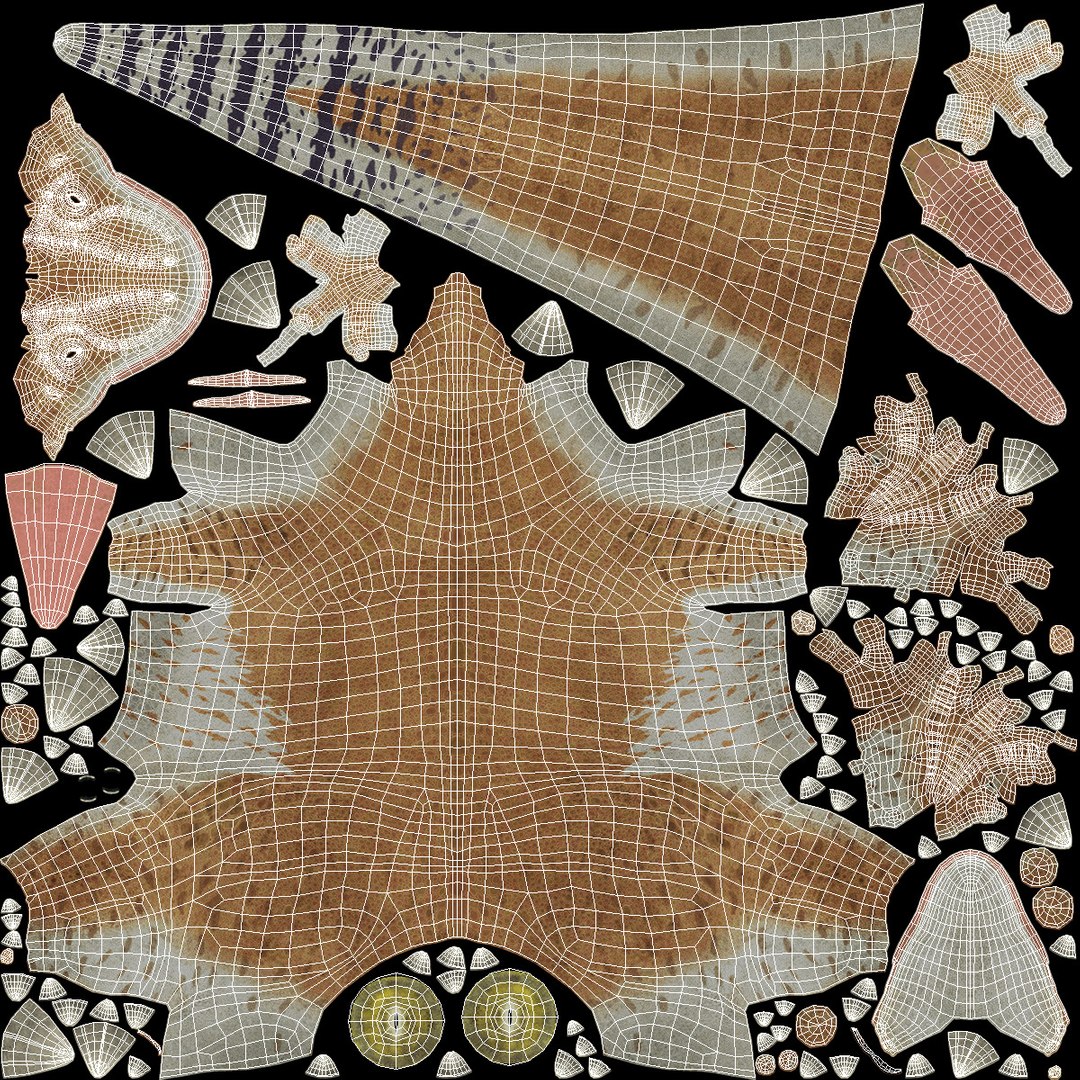 Allosaurus Yellow Coloring Rigged for Cinema 4D 3D https://p.turbosquid.com/ts-thumb/14/vKYXlo/E4/allosaurusyellowcoloringriggedforcinema4dc4dmodel031/jpg/1703237522/1920x1080/fit_q87/5d819cde51aedb98c62b3fc68b88ee7951e12b11/allosaurusyellowcoloringriggedforcinema4dc4dmodel031.jpg